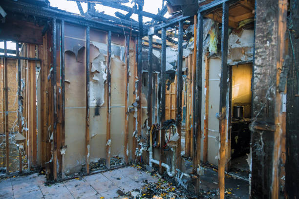 Professional Fire Damage Removal technician working in Estill, SC